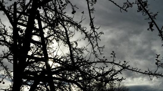 Zacheus v překladu znamená čistý, nevinný… Zacheus v překladu znamená čistý, nevinný…