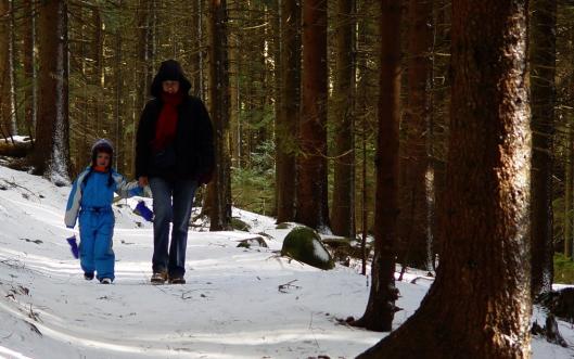 Usilujme o mír v situacích, ve kterých se denně nacházíme (papež František) Usilujme o mír v situacích, ve kterých se denně nacházíme (papež František)