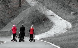 matka, kočárek, cesta, tři / foto -Miloš Padevět- matka, kočárek, cesta, tři / foto -Miloš Padevět-
