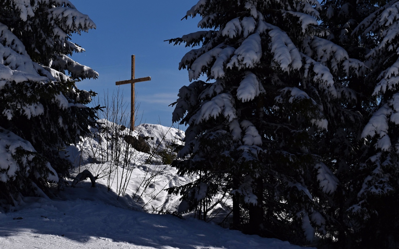 Kříž, sníh, strom, Špišák Šumava