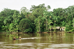 Kulturní i přírodní bohatství Amazonie leží papeži na srdci