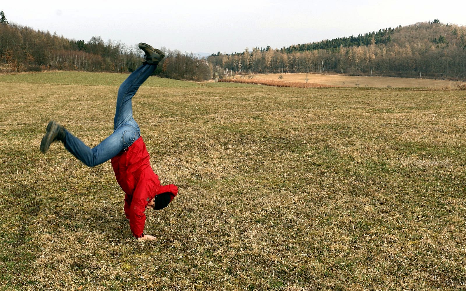 člověk, muž, kotoul, stojka, krajina, louka / foto Michal Němeček