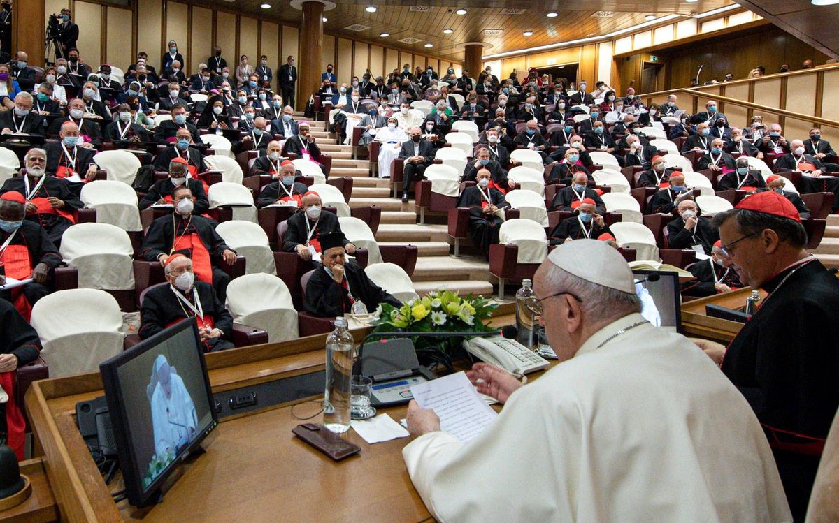 Synoda není církevní sjezd, konference či kongres