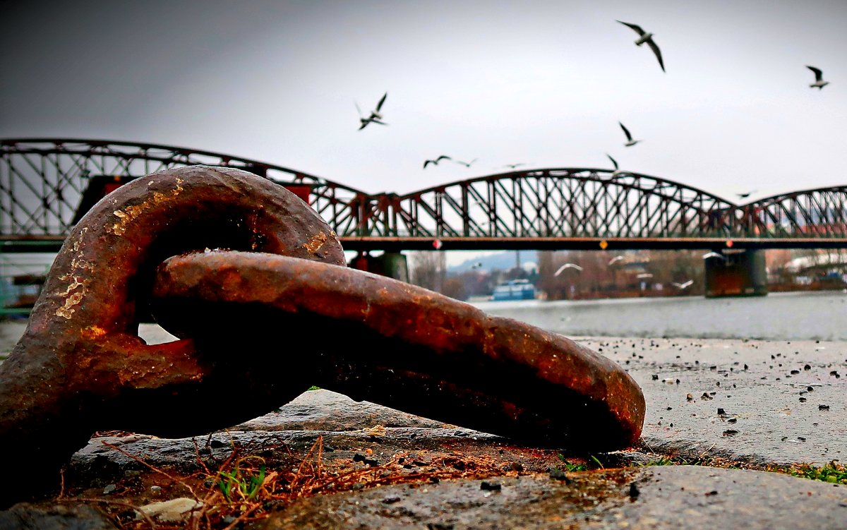 řetěz, most, ptáci, volnost / foto: Miloš Padevět