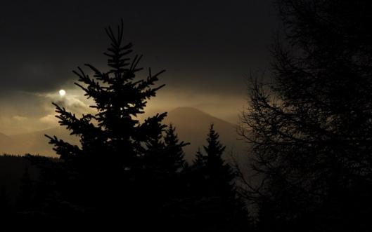 měsíc, tma, silueta, strom, kopec, hora, Krkonoše / -ima-