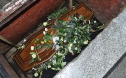 hrob, rakev, květiny  / foto -ima-