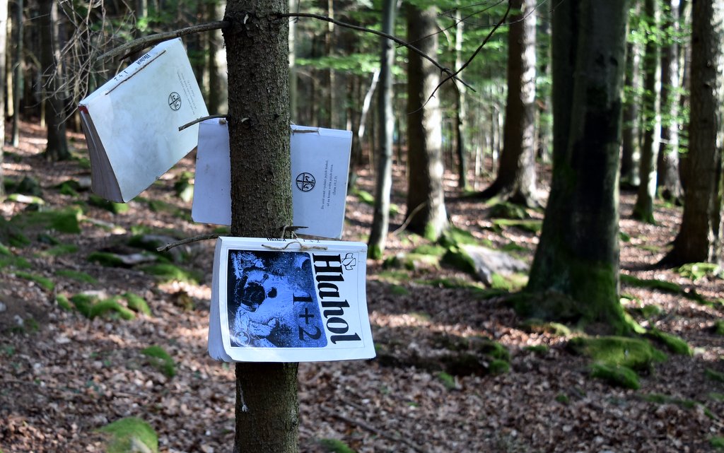 strom, v lese, zpěvníky visící na větvích / -ima-