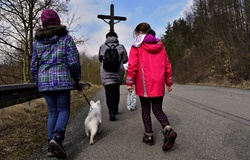 pes, zvíře, cesta, kříž, křížová cesta, děti / dog, cross, children / foto -IMA-
