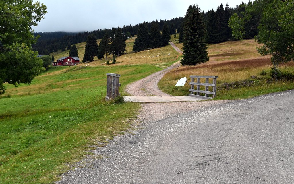 cesta, hory, chalupa, dům, horizont, most, příroda / foto -ima-