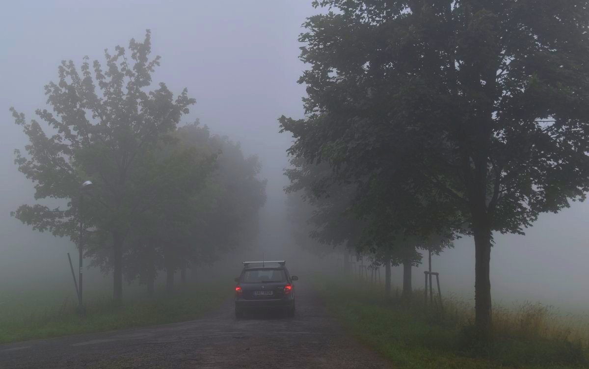 auto, alej, mlha, cesta, Hora Matky Boží Králíky / ima